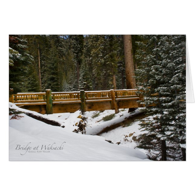 ブリッジアットウクサチ (正面横)