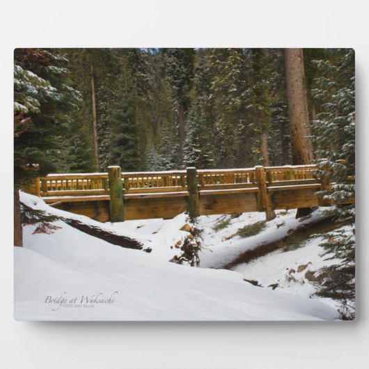 ブリッジアットウクサチ フォトプラーク (正面)