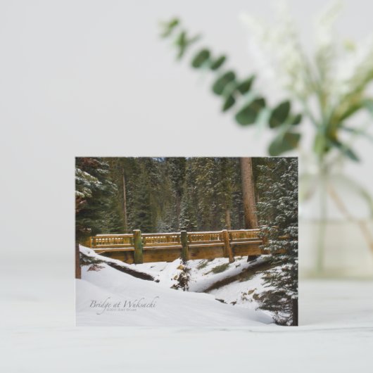 ブリッジアットウクサチ ポストカード (スタンド正面)