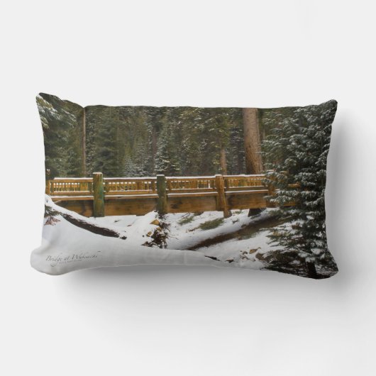 ブリッジアットウクサチ ランバークッション (正面)