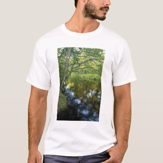 ブリッジウォーターのタウントン川 Tシャツ (正面)