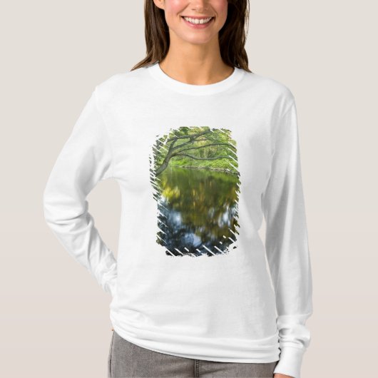 ブリッジウォーターのタントン川で Tシャツ (正面)