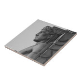 ブリッジガーディアンクリーブランドOH装飾タイル タイル (側面)