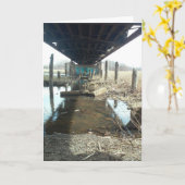 「ブリッジクラブ」快復祈念カード カード (黄色い花)