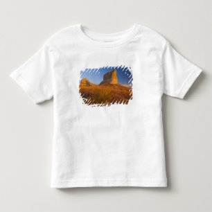ブリッジポート近くの裁判所と刑務所のロック トドラーTシャツ