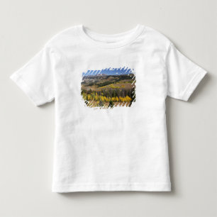 ブリッジャー・ティトン国有林 トドラーTシャツ