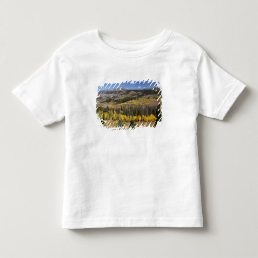 ブリッジャー・ティトン国有林 トドラーTシャツ (正面)