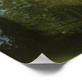 ブリッジ – ザ中国のガーデン ポスター (角)