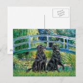 ブリッジ – フラットコートレトリバー(2) ポストカード (正面/裏面)