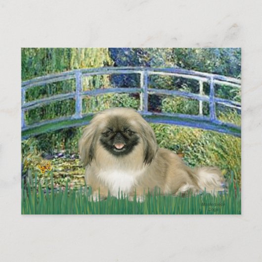 ブリッジ - ペキニーズ 1b ポストカード (正面)