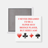 ブリッジ マグネット (正面/裏面)