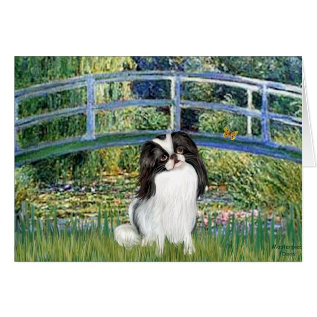 ブリッジ – 日本のチン2 (正面横)