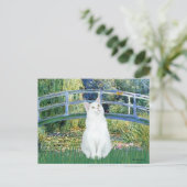 ブリッジ – 白髪の短毛猫 ポストカード (スタンド正面)