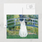 ブリッジ – 白髪の短毛猫 ポストカード (正面/裏面)