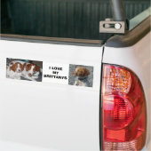 ブリッタニーのバンパーステッカー バンパーステッカー (トラック上)