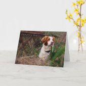 ブリッタニーのバースデー・カード カード (黄色い花)