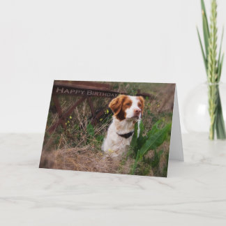 ブリッタニーのバースデー・カード カード