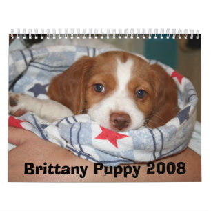ブリッタニーの子犬のカレンダー2008年(すべてに錆ついた) カレンダー