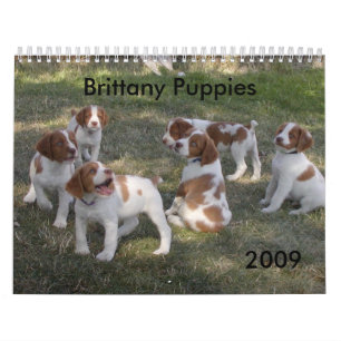 ブリッタニーの子犬のカレンダー2009年 カレンダー