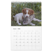 ブリッタニーの子犬2008年 カレンダー (3月 2026)