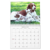 ブリッタニーの子犬2011年 カレンダー (3月 2027)