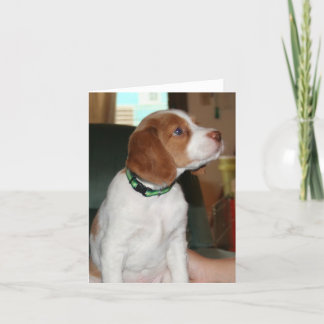 ブリッタニーの子犬Notecard カード