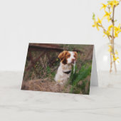 ブリッタニーの空白のなカード カード (黄色い花)