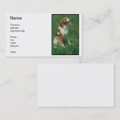 ブリッタニースパニエル犬の名刺 名刺 (正面/裏面)