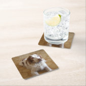 ブリッタニースパニエル犬の置くこと スクエアペーパーコースター (インサイチュ)