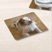 ブリッタニースパニエル犬の置くこと スクエアペーパーコースター (アングル)
