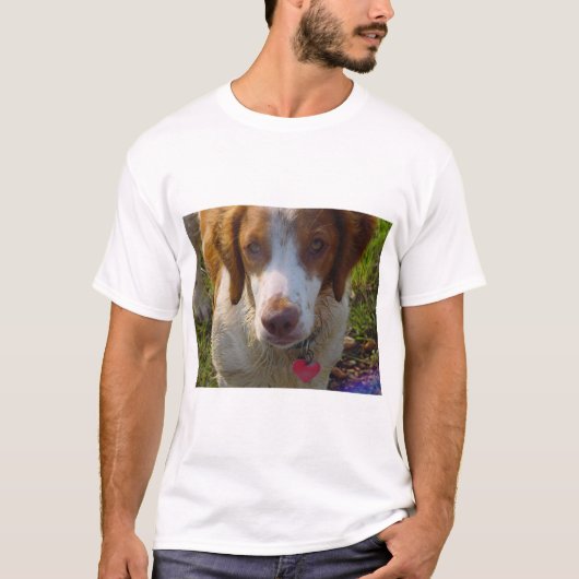 ブリッタニースパニエル犬 Tシャツ (正面)