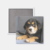 ブリッツェン マグネット (正面/裏面)