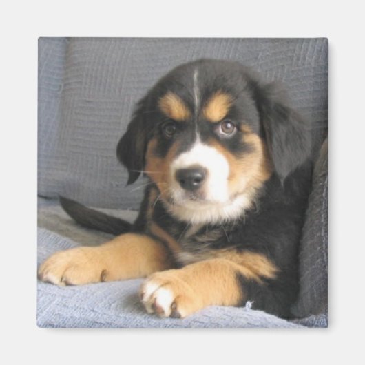 ブリッツェン マグネット (正面)