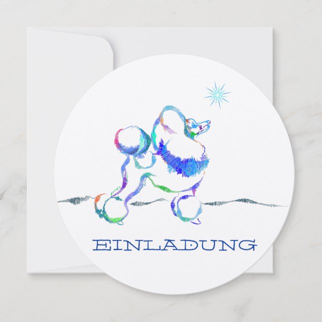 ブリットプードル (正面)