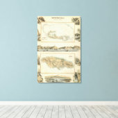 ブリティッシュウェストインディアンの所有物 キャンバスプリント (インサイチュ (ウッドフロア))