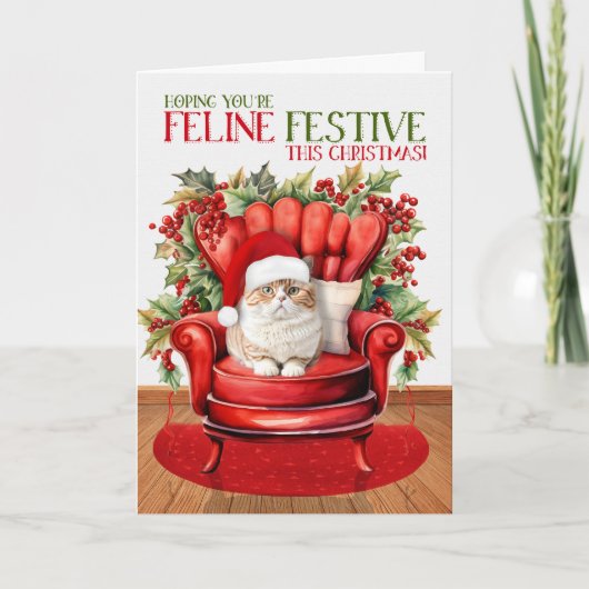 ブリティッシュオレンジ虎猫クリスマスキャット猫フェスティバル シーズンカード (正面)