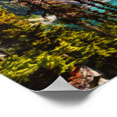 ブリティッシュコロンビアカナダマウンテンビュー ポスター (角)