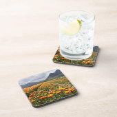 ブリティッシュコロンビア州アガシス近くのチューリップファーム コースター (右側)