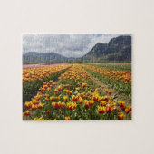 ブリティッシュコロンビア州アガシス近くのチューリップファーム ジグソーパズル (横)