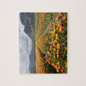 ブリティッシュコロンビア州アガシス近くのチューリップファーム ジグソーパズル (縦)