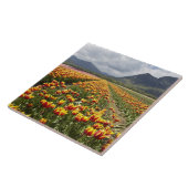 ブリティッシュコロンビア州アガシス近くのチューリップファーム タイル (側面)