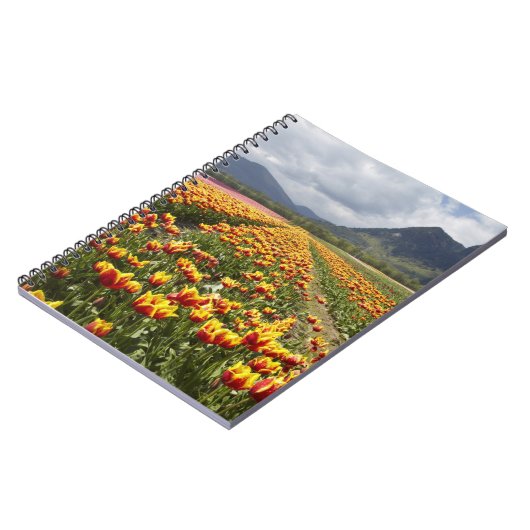 ブリティッシュコロンビア州アガシス近くのチューリップファーム ノートブック (左側)