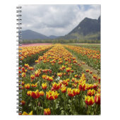ブリティッシュコロンビア州アガシス近くのチューリップファーム ノートブック (正面)