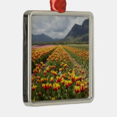 ブリティッシュコロンビア州アガシス近くのチューリップファーム メタルオーナメント (右)