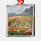 ブリティッシュコロンビア州アガシス近くのチューリップファーム メタルオーナメント (左)