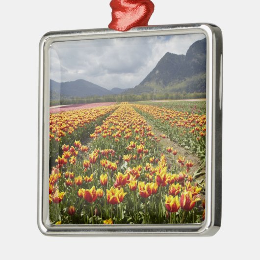 ブリティッシュコロンビア州アガシス近くのチューリップファーム メタルオーナメント (左)