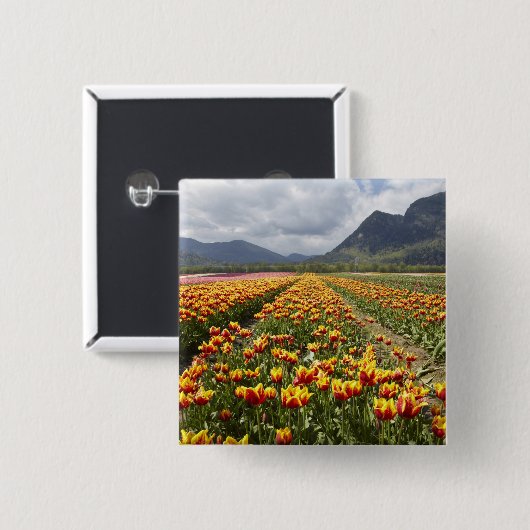 ブリティッシュコロンビア州アガシス近くのチューリップファーム 缶バッジ (正面&裏面)