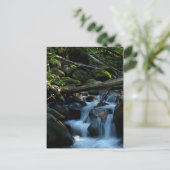 ブリティッシュコロンビア州キャッスルガルのマッフェークリーク ポストカード (スタンド正面)