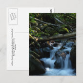 ブリティッシュコロンビア州キャッスルガルのマッフェークリーク ポストカード (正面/裏面)