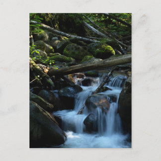 ブリティッシュコロンビア州キャッスルガルのマッフェークリーク ポストカード